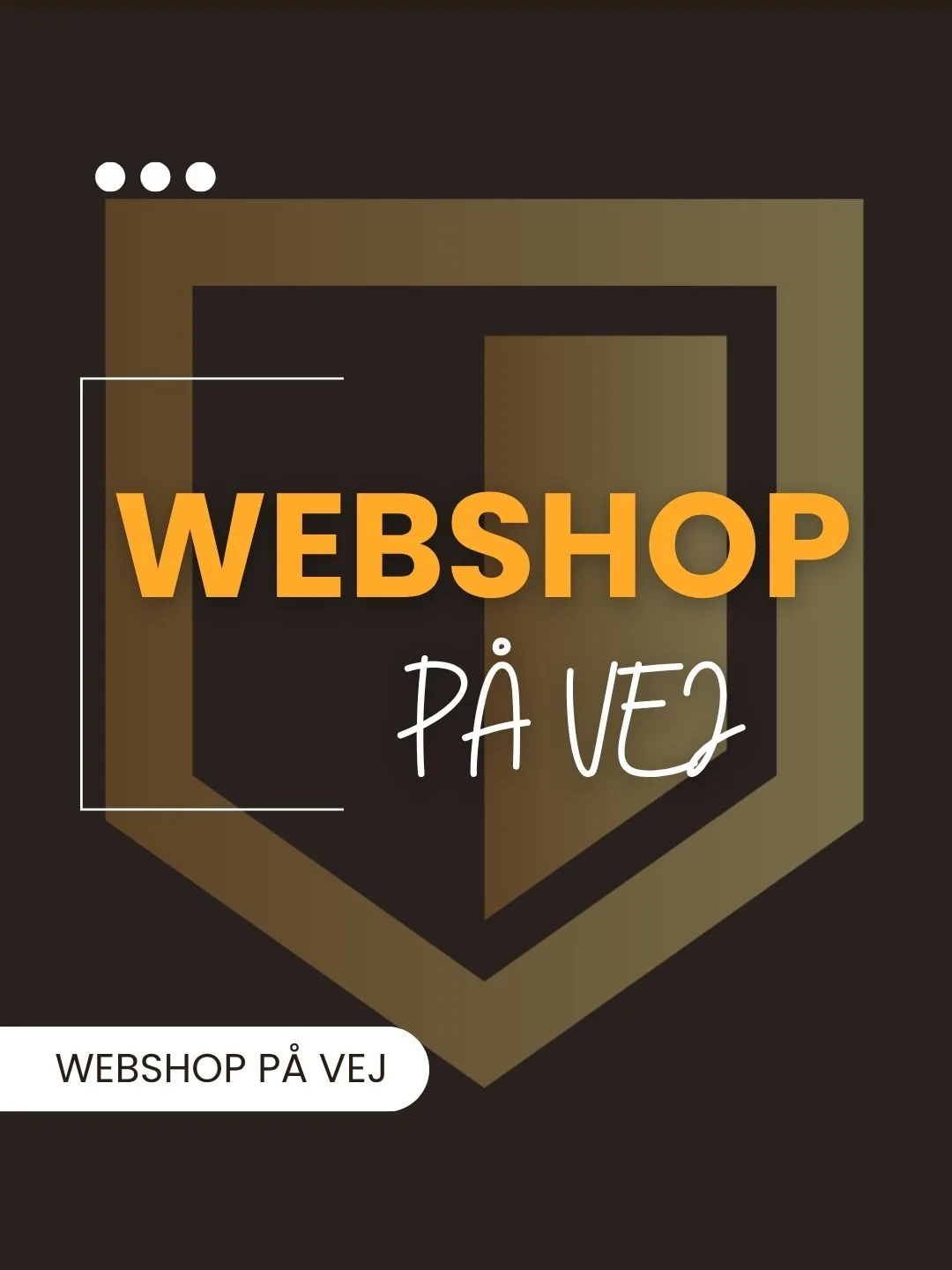 Cars by Riisager webshop på vej med bilplejeprodukter vi selv bruger