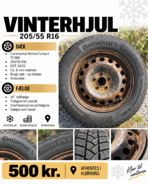 Vinterhjul 205/55 R16 – Continental WinterContact TS 860