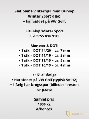 Vinterhjul 205/55 R16