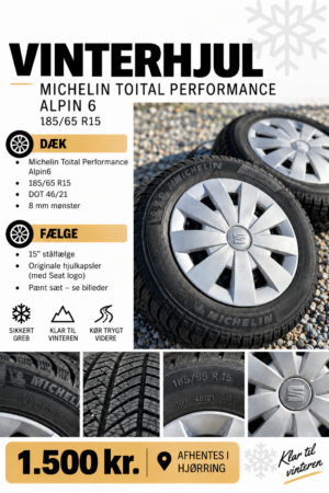 Vinterhjul 185/65 R15 – Michelin Total Performance Alpin 6