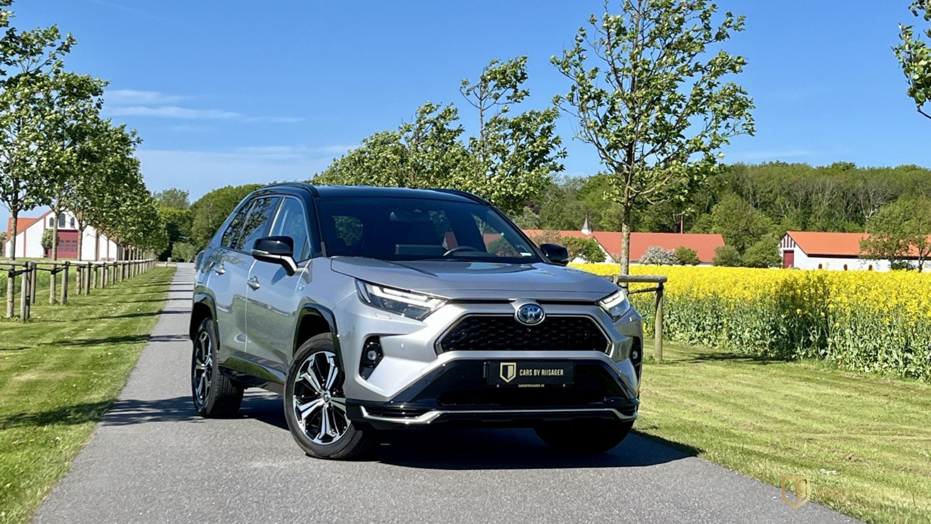 Toyota RAV4 Plug-in Hybrid i nordjysk landskab ved rapsmark – nyere brugt Toyota hos Cars by Riisager