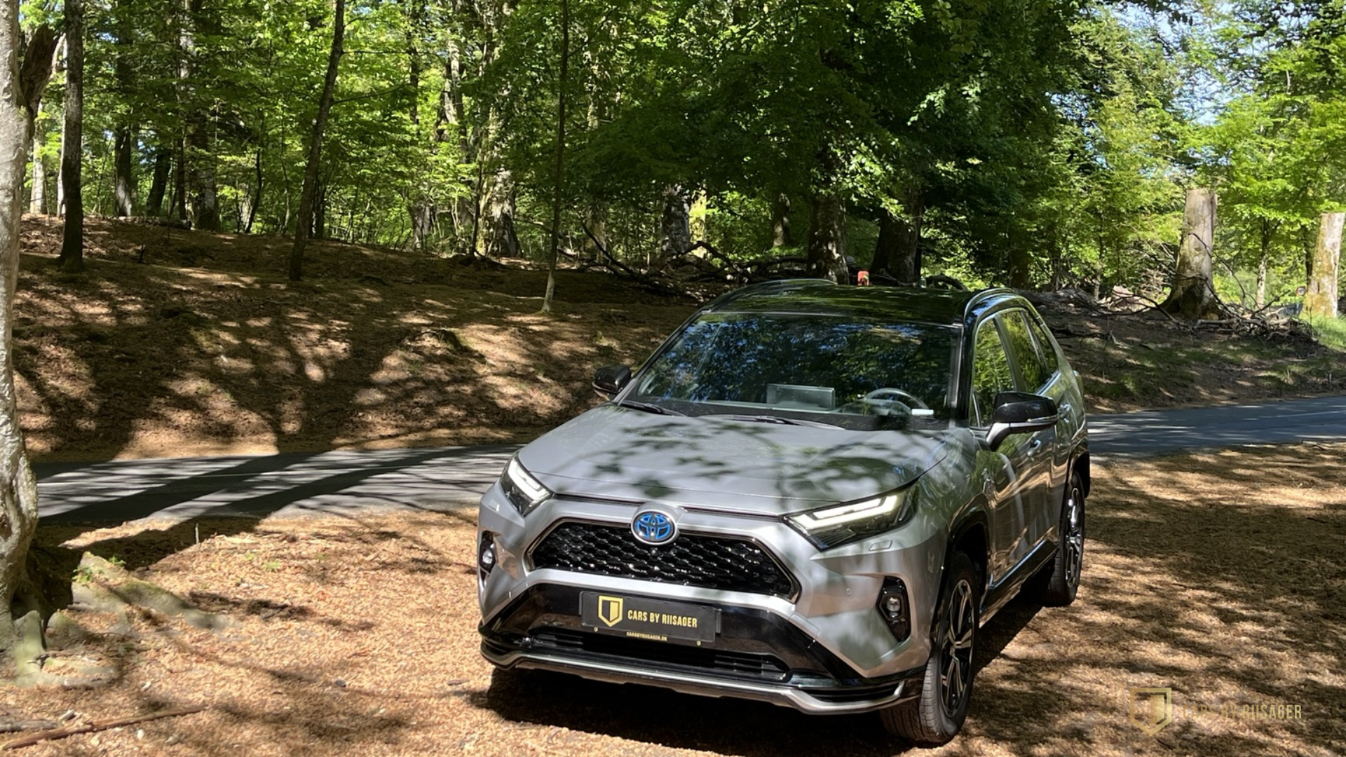 Toyota RAV4 Plug-in Hybrid i skovmiljø – SUV til både hverdag og eventyr